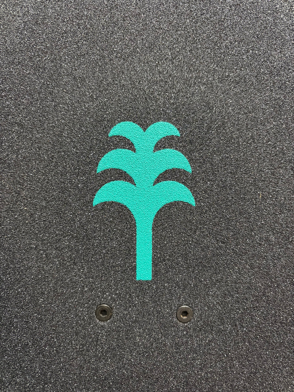SKATEBOARD COMPLET BONJOUR