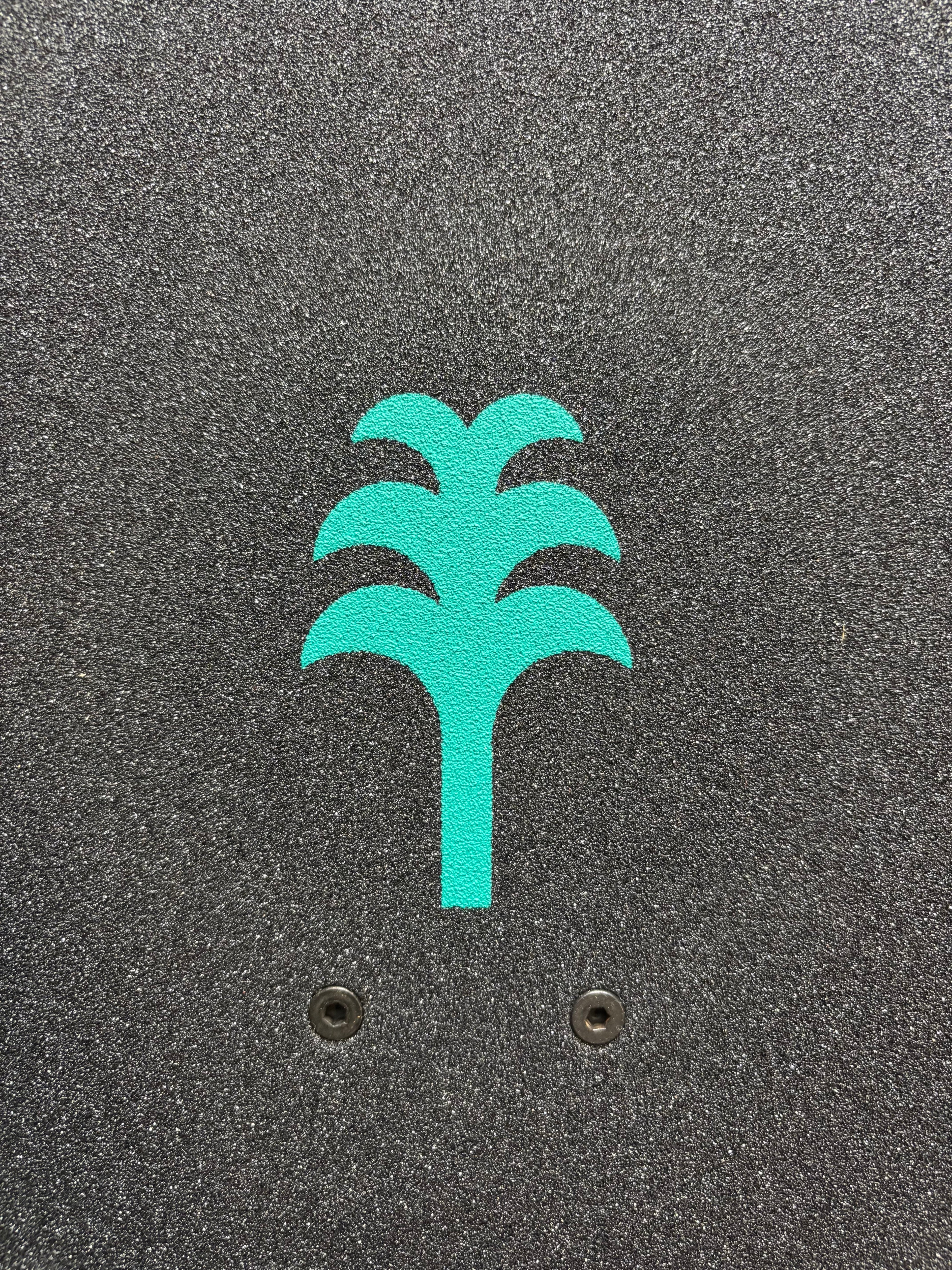 SKATEBOARD COMPLET BONJOUR
